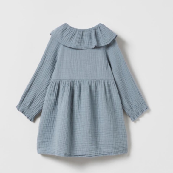 Zara Ruffled Texture Dress - Picture 2 of 6